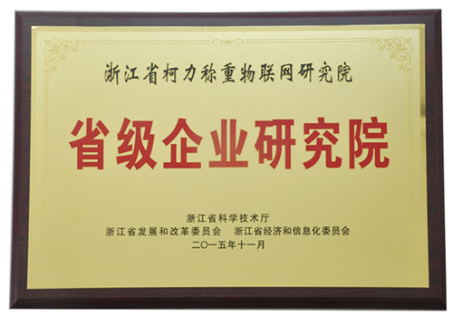 公司稱(chēng)重物聯(lián)網(wǎng)研究院榮獲“浙江省省級(jí)企業(yè)研究院”